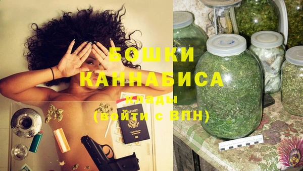 ПСИЛОЦИБИНОВЫЕ ГРИБЫ Лихославль