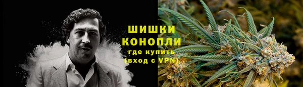 дмт Лиски