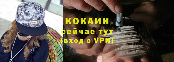ПСИЛОЦИБИНОВЫЕ ГРИБЫ Лихославль