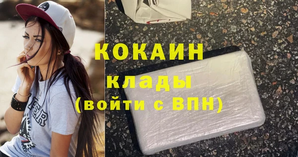 дмт Лиски