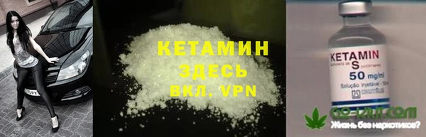 индика Сясьстрой