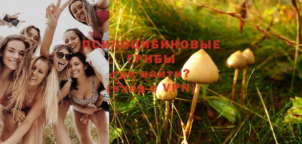 ПСИЛОЦИБИНОВЫЕ ГРИБЫ Лихославль