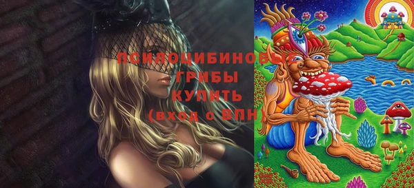 дмт Лиски