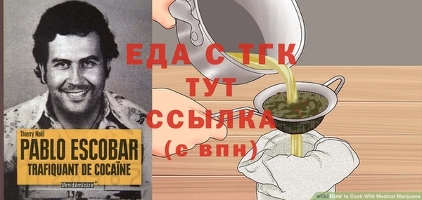 индика Сясьстрой