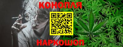 дмт Донской
