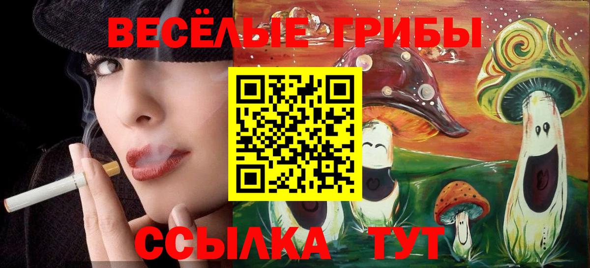 Новоалтайск  Псилоцибиновые грибы Psilocybe  Вход с VPN  Галлюциногенные грибы мицелий 