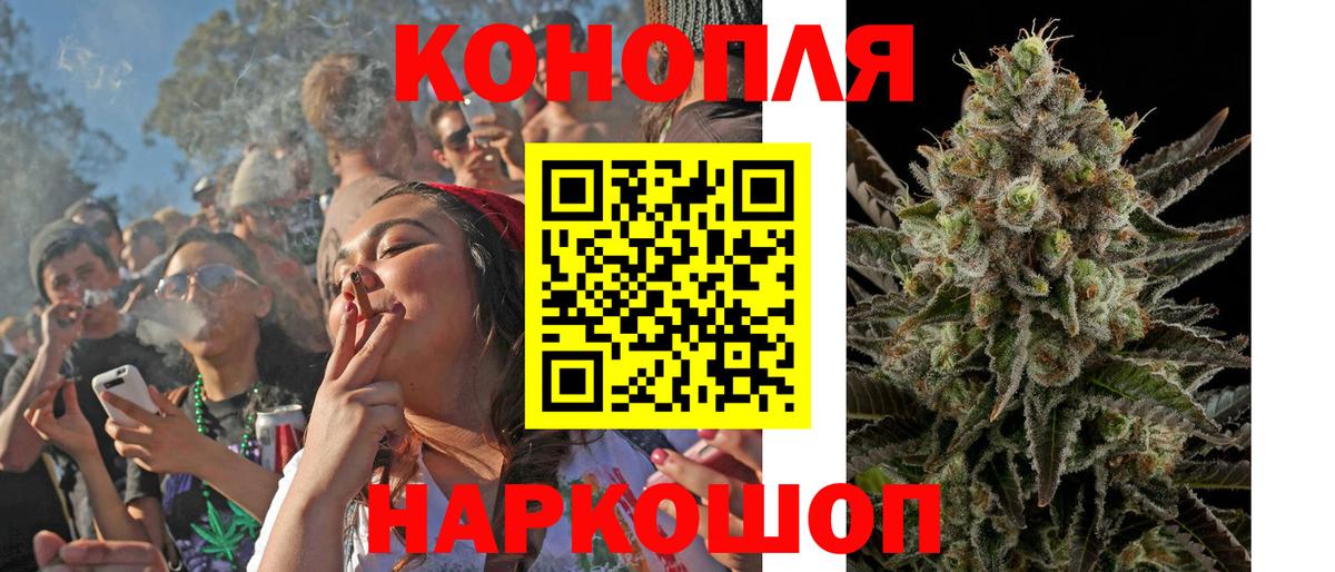 Конопля сатива Новоалтайск